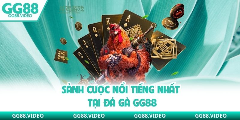 Sảnh cược nổi tiếng nhất tại đá gà GG88